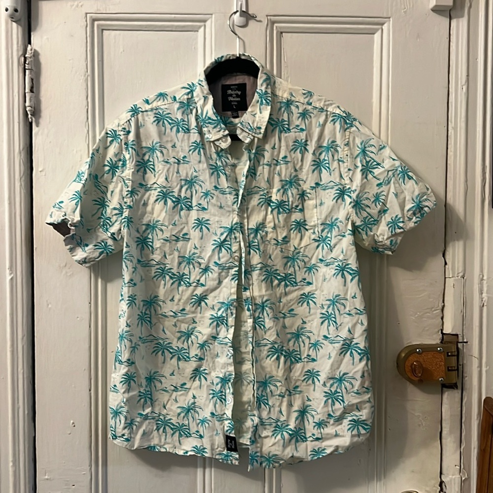 Artistry in motion Hawaiian shirt large